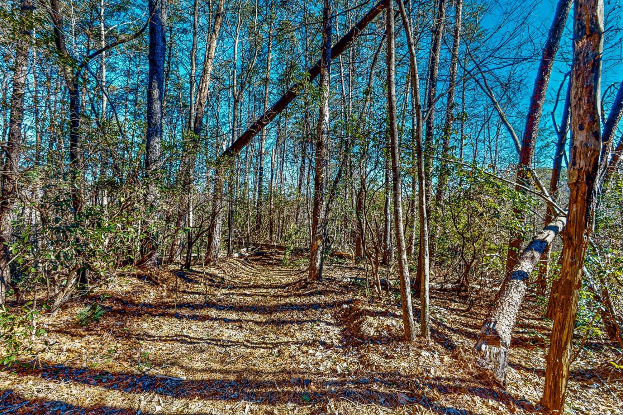 ホテル Singing Pines Sautee Nacoochee エクステリア 写真